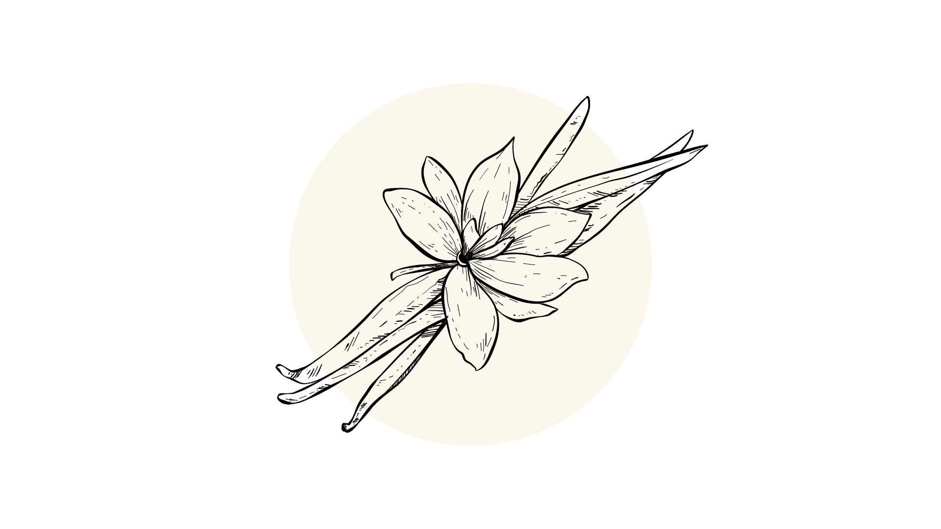 Vanilla CO2-to Extract (12% Vanillin)