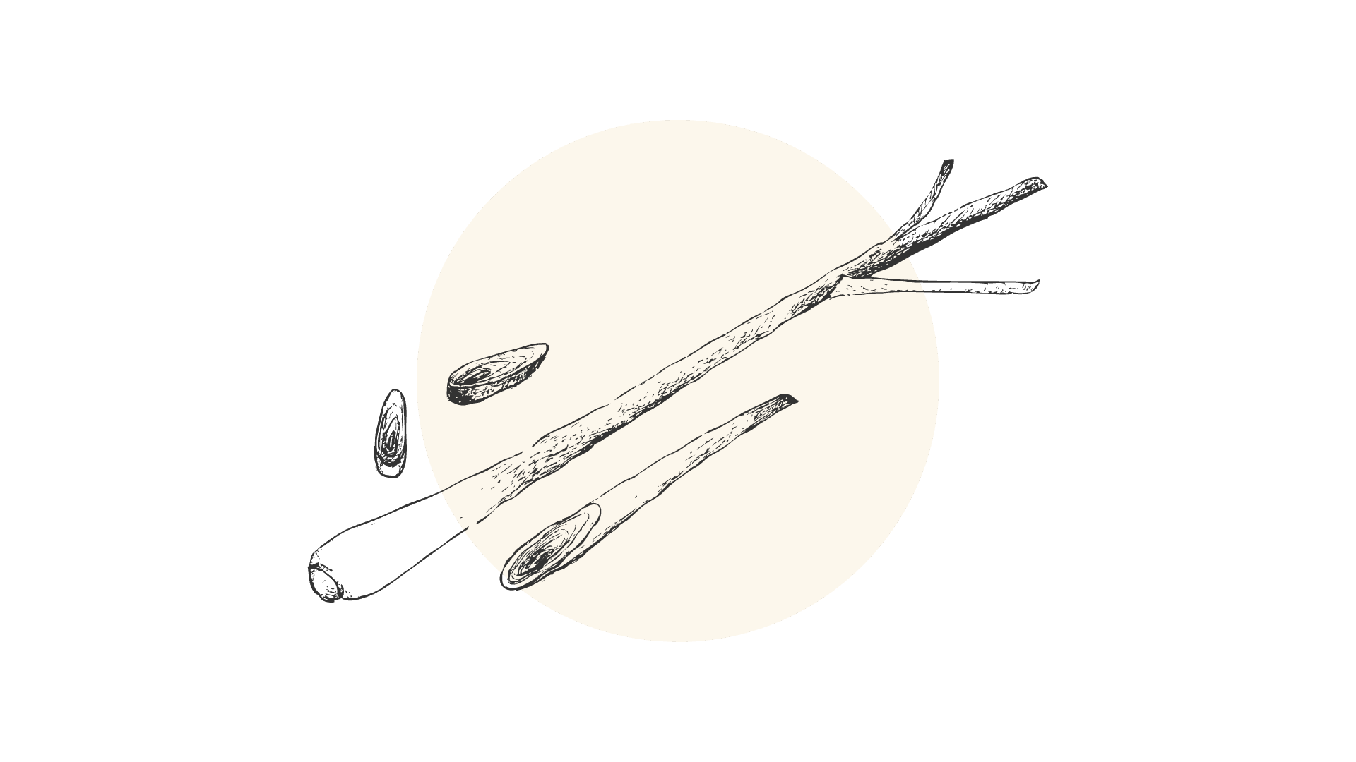 Citroengras Etherische Olie