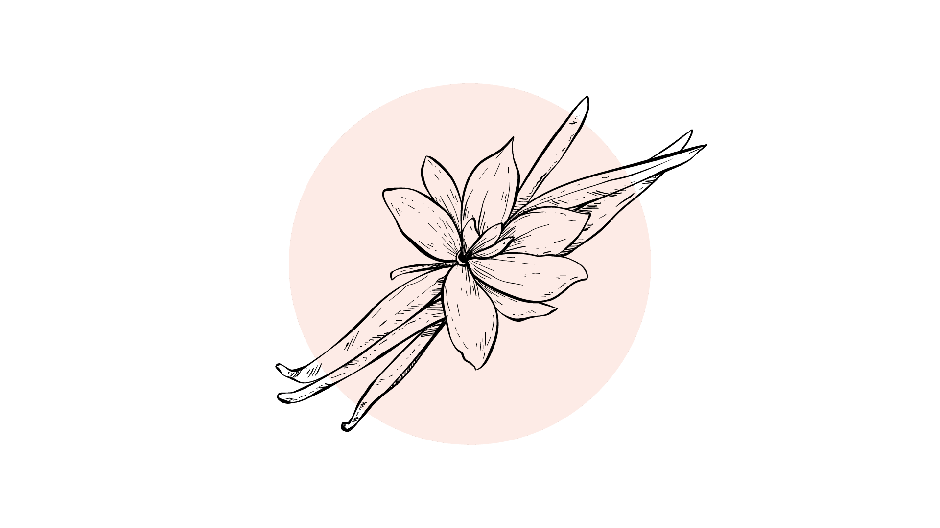 Vanille CO2-to Extract (12% Vanillin)