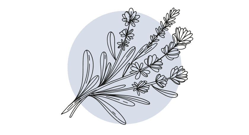 Lavendel Etherische Olie