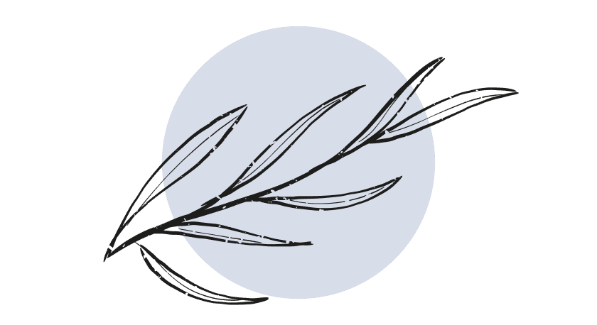 Eucalyptus Etherische Olie